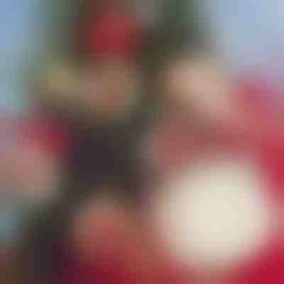 DIY Weihnachtsschmuck zum Aufhängen (30 Stück) | ORNAMENTIFY