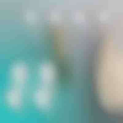 Saugnapfhaken (4 Stück) | QUICKGRIP