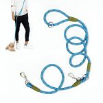 CROSSLEASH