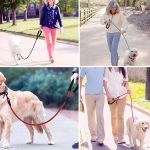 CROSSLEASH