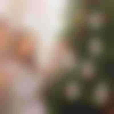 Weihnachts-Geldhalter-Ornamente (4Stk.) | WEALTHMAS