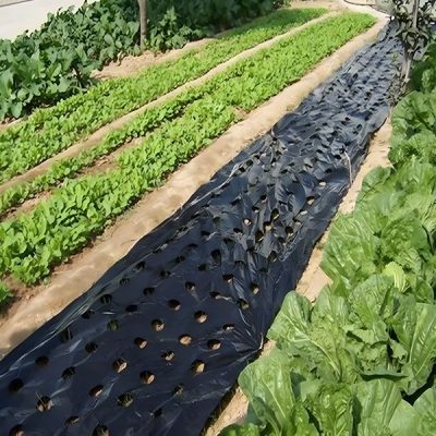 Unkrautfreie Gartenwachstumsmatte (0,95x10m) | VEGUARD
