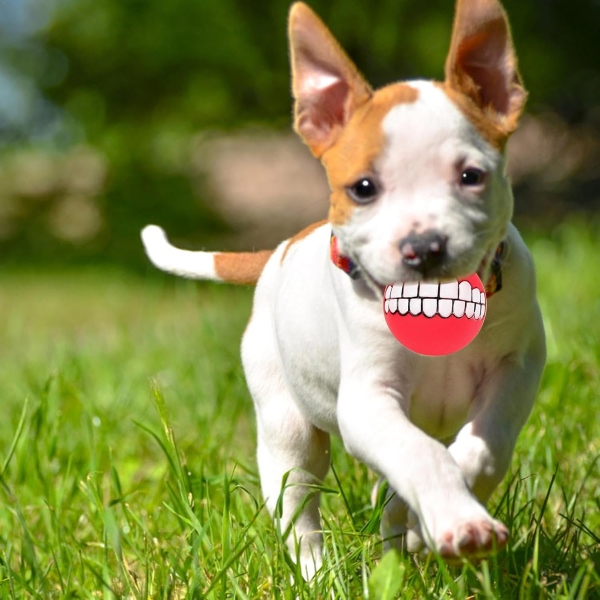 HAPPYBALL-3831127526633-N-2__240725