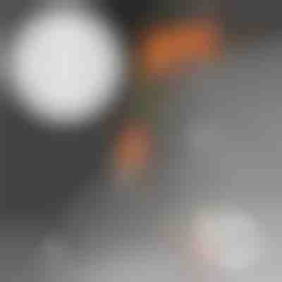 50 Extra-Nägel Packung | MORENAILS