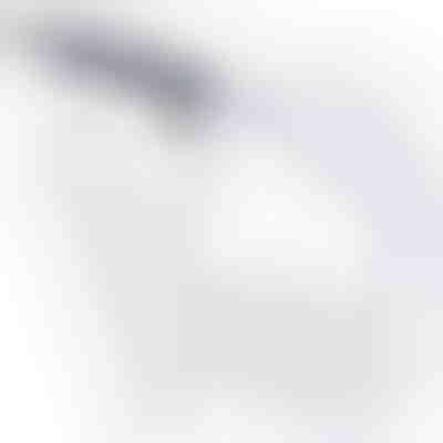 Bremsen-Entlüftungskit | BLEEDHOSE