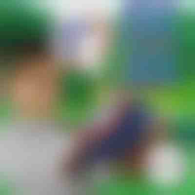 10+10 GRATIS Schaumstoffpfeile für BLASTKID | F2OAMBULLETS