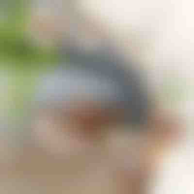 Interaktives flatterndes Vogelspielzeug | CHIRRCAT