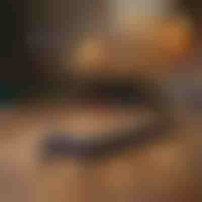 Rotierendes Präzisions-Schneidemesser | CRAFTBLADE