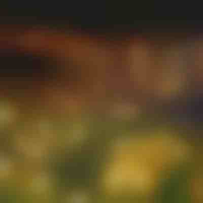 Solar-Lichterkette mit 6 LED-Glühbirnen | SOMPEX