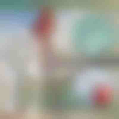 Teleskopischer Bootshaken aus Metall | FASTDOCK