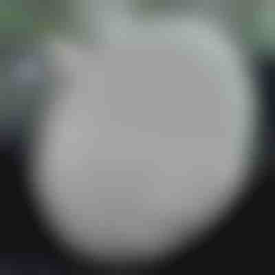 Schützende Lenkradabdeckung