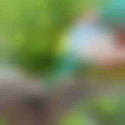 Praktischer Samenspender